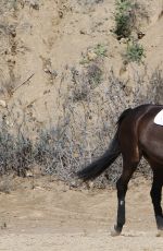 SELMA BLAIR at Horse Riding in Calabasas 03/02/2017