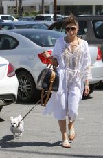 SELMA BLAIR Out and About in Studio City 03/27/2017