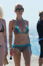 SHAUNA SAND in Bikini on the Beach in Malibu 03/29/2017