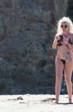SHAUNA SAND in Bikini on the Beach in Malibu 03/29/2017