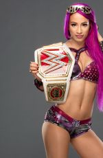 WWE - All Female Champions