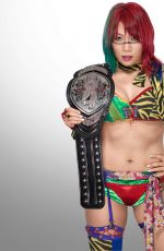 WWE - All Female Champions