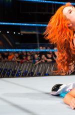 WWE - Coolest Female Finishers