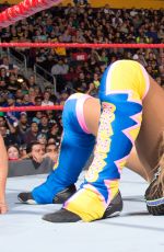 WWE - Coolest Female Finishers