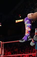 WWE - Fastlane Digitals 2017
