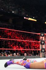 WWE - Fastlane Digitals 2017