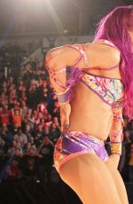 WWE - Fastlane Digitals 2017