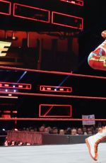WWE - Fastlane Digitals 2017