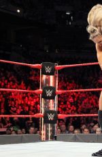 WWE - Fastlane Digitals 2017