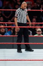 WWE - Fastlane Digitals 2017