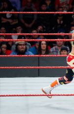 WWE - Fastlane Digitals 2017