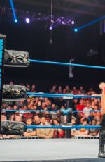 WWE - New Knockout Piturecs