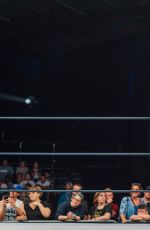 WWE - New Knockout Piturecs