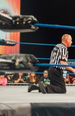 WWE - New Knockout Piturecs