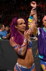 WWE - Raw Digitals 03/13/2017