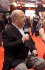 WWE - Renee Young