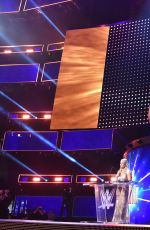 2017 WWE Hall of Fame, Induction Ceremony
