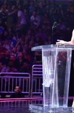 2017 WWE Hall of Fame, Induction Ceremony