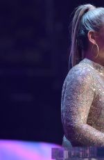 2017 WWE Hall of Fame, Induction Ceremony