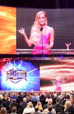 2017 WWE Hall of Fame, Induction Ceremony