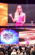 2017 WWE Hall of Fame, Induction Ceremony