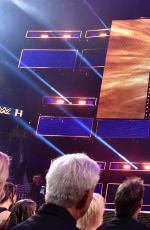 2017 WWE Hall of Fame, Induction Ceremony