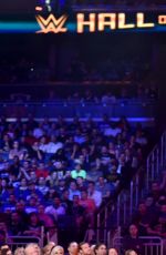 2017 WWE Hall of Fame, Induction Ceremony