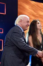 2017 WWE Hall of Fame - Red Carpet Arrivals
