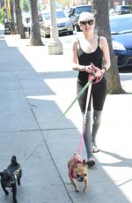 ALESSANDRA TORRESANI Walks Her Dogs Out in Los Angeles 04/10/2017