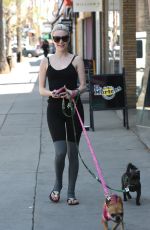 ALESSANDRA TORRESANI Walks Her Dogs Out in Los Angeles 04/10/2017