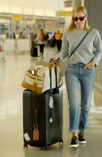 ALLISON WILLIAMS at JFK Airport in New York 04/17/2017