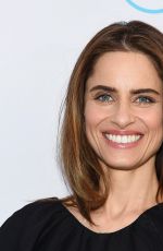 AMANDA PEET at City Harvest’s 23rd Annual Gala in New York 04/25/2017