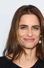 AMANDA PEET at City Harvest’s 23rd Annual Gala in New York 04/25/2017