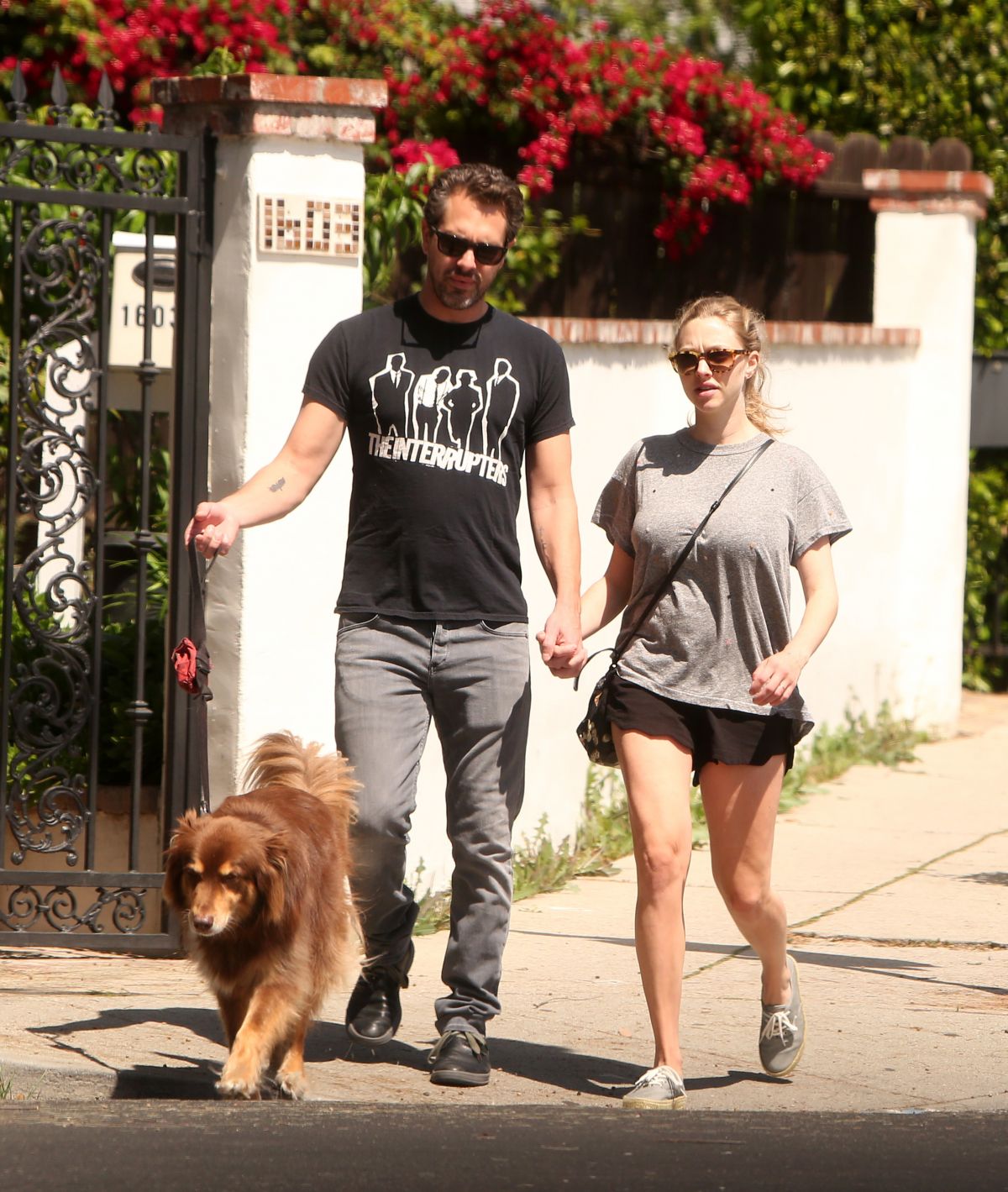 AMANDA SEYFRIED and Thomas Sadoski Walk Their Dog Out in Los Angeles 04/14/2017 AMANDA SEYFRIED and Thomas Sadoski Walk Their Dog Out in Los Angeles 04/14/2017
