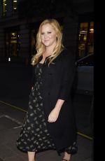 AMY SCHUMER at Snatched Screening in London 04/26/2017