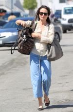 ANDIE MACDOWELL Out with Her Dog in Los Angeles 04/04/2017