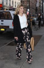 ANNALYNNE MCCORD Hosting a Screening of How to be a Responsible Traveler in Cambodia in New York 04/10/2017