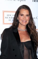 BROOKE SHIELDS  at 2017 Tribeca Ball in New York 04/03/2017