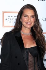 BROOKE SHIELDS  at 2017 Tribeca Ball in New York 04/03/2017