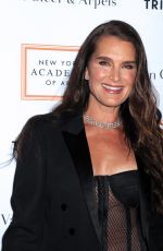 BROOKE SHIELDS  at 2017 Tribeca Ball in New York 04/03/2017