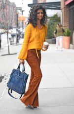 CAMILA ALVES Out in New York 04/04/2017