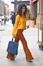 CAMILA ALVES Out in New York 04/04/2017