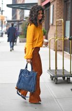 CAMILA ALVES Out in New York 04/04/2017