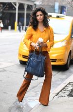 CAMILA ALVES Out in New York 04/04/2017