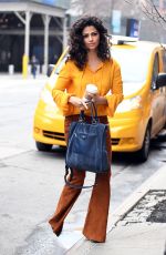 CAMILA ALVES Out in New York 04/04/2017