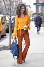 CAMILA ALVES Out in New York 04/04/2017