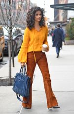 CAMILA ALVES Out in New York 04/04/2017