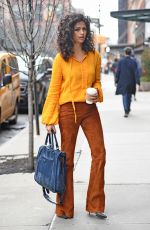 CAMILA ALVES Out in New York 04/04/2017