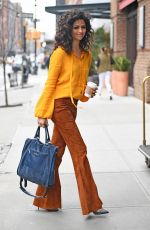 CAMILA ALVES Out in New York 04/04/2017