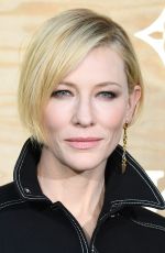 CATE BLANCHETT at Louis Vuitton Dinner Party in Paris 04/11/2017